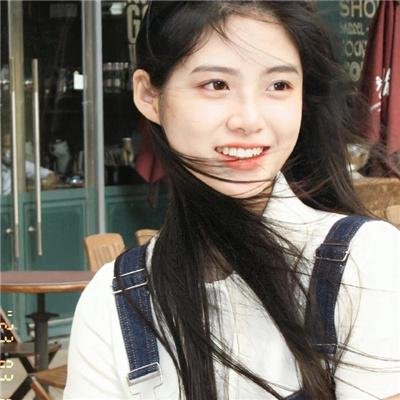 动物宝宝